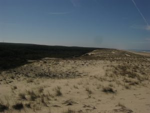 Image for Каким способом люди трактуют случайность и рок